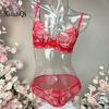 European and American Sexy Lingerie Transparent Mesh Embroidered Bra Set