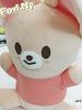 Stray Kids - [SKZOO EVERYWHERE ALL AROUND THE WORLD] POP-UP STORE MD SKZOO PLUSH HUG-ME