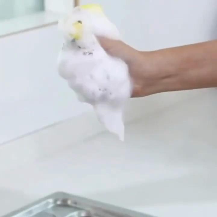 Highly Absorbent Cleaning Sponges Dish washing Magic Clean Pot Rust Stain Sponge Brush Kitchen Grease Cleaner Household Tools