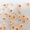 Natural Freshwater Shells Flowers Beads Double-Sided Egg Yolk for DIY Jewelry