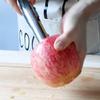Apfelentkerner aus Edelstahl, Obstentkerner mit Kunststoffgriff, Einfaches Kernentfernen für Äpfel und andere Früchte