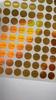 200pcs 6mm Gold Color Hologram Sticker GENUINE AUTHENTIC ORIGINAL Security Seal Honeycomb Left If Removed or Tampered With