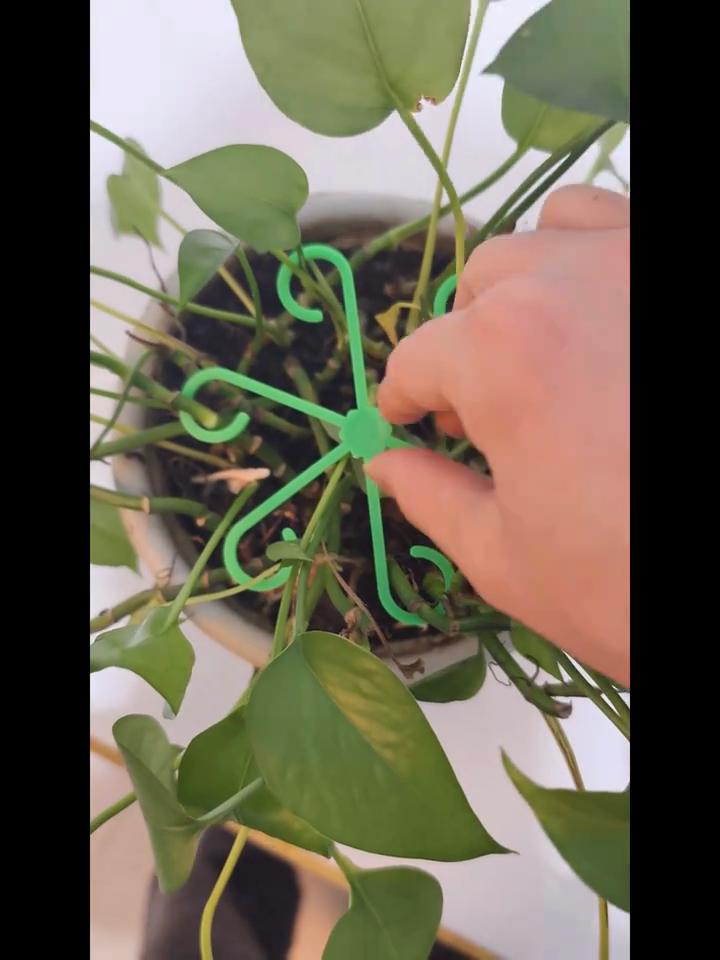 4Pcs Plant Stem Support Clips Flower Stem Gathering Frame Support Fixer Anti-Toppling Hydroponic Branch Fixing Pot Rack Garden Supplies