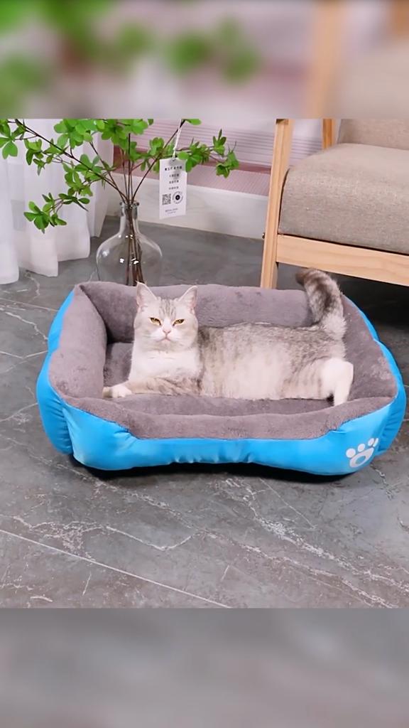 Comfy And Soft Orthopedic Pet Dog Bed For Large Cats And Puppies