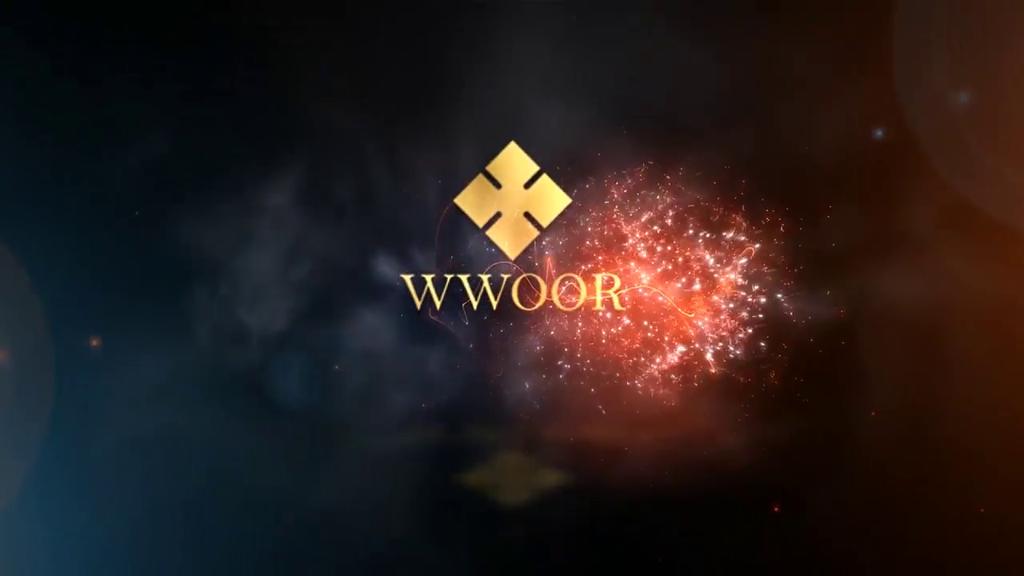 WWOOR Męski Zegarek na Pasku Mesh z Kalendarzem Wodoodporny Zegarek Minimalistyczny