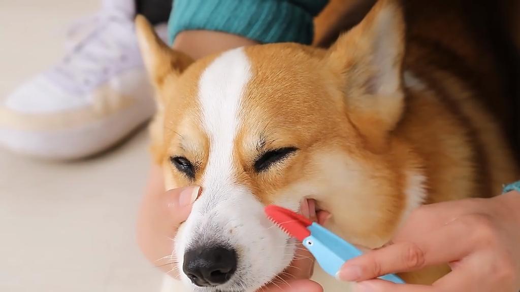 Pet Eye Comb Brush Pet Tear Stain Remover Comb Double-Sided Eye Grooming Brush Removing Crust Mucus For Small Cat Dog