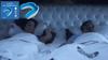 Stop Snoring Device Anti Snoring Gentle Care Night Sleep Comfort & Calm Daily Care Stop Snoring Device