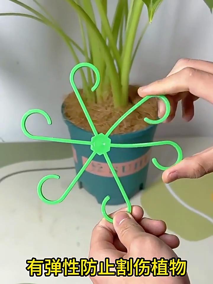 4 SZT Klips do Mocowania Roślin Rama Podporowa do Pnących Roślin Rama do Podtrzymywania Łodyg Kwiatowych do Warzywnika Ogrodu Sadu Ogrodu na Dziedzińcu