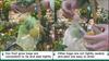 100Pcs Mesh Garden Bag Net,Vegetable Grapes Fruit Protection Grow Bag,Drawstring Net Mesh Against Insect