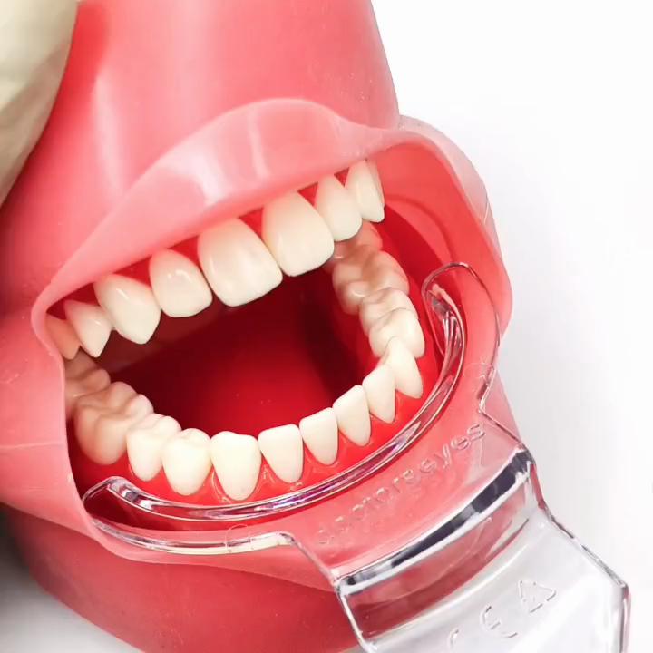 Autoclavable Dental Orthodontic Lip Cheek Retractor Tongue Depressor Half-Lip Retractor Mouth Opener Photograghic