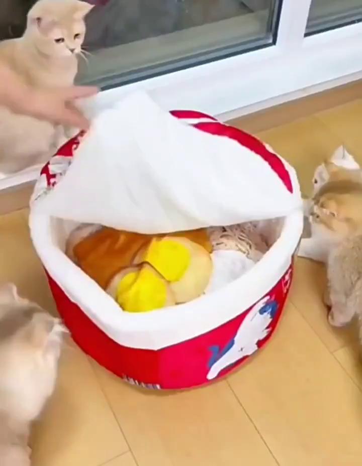 Nudelförmiges, mit Fleece gefüttertes Haustierbett, warm, atmungsaktiv, abnehmbar, rund, Katzennest, Klappbezug, universeller Hundezwinger für alle Jahreszeiten