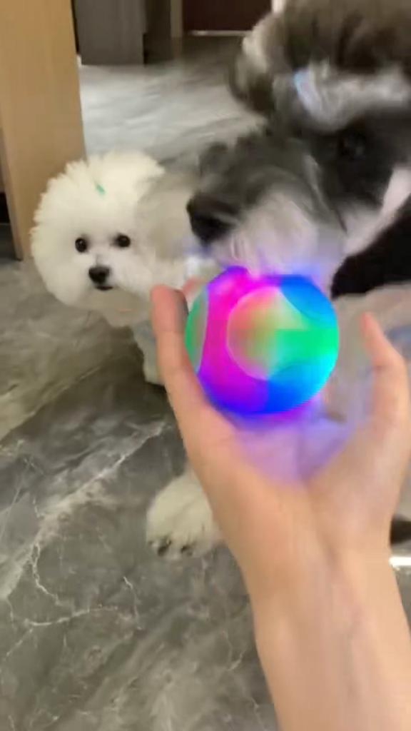 Dog toy ball small dog flash pet ball tpr three-color luminous elastic ball training interactive throwing dog ball