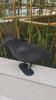 Simulation Plastic Crow Statue Hunting Bait Decoys for Outdoor Garden Decoration