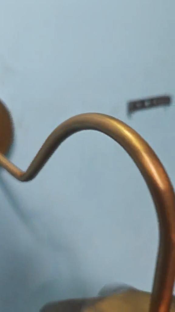 Customizable Brass Flower Wall Sconce: Plug-In/Hardwired Lighting