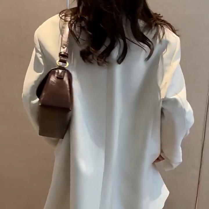 High End Handbag for Women, Large Capacity New Trendy and Fashionable Women, Niche Autumn and Winter Single Shoulder Armpit Bag
