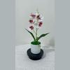Keine IP Künstliche Orchideenpflanze mit Kunststoff und Weichgel für Heimdekoration und Fotografie-Requisiten