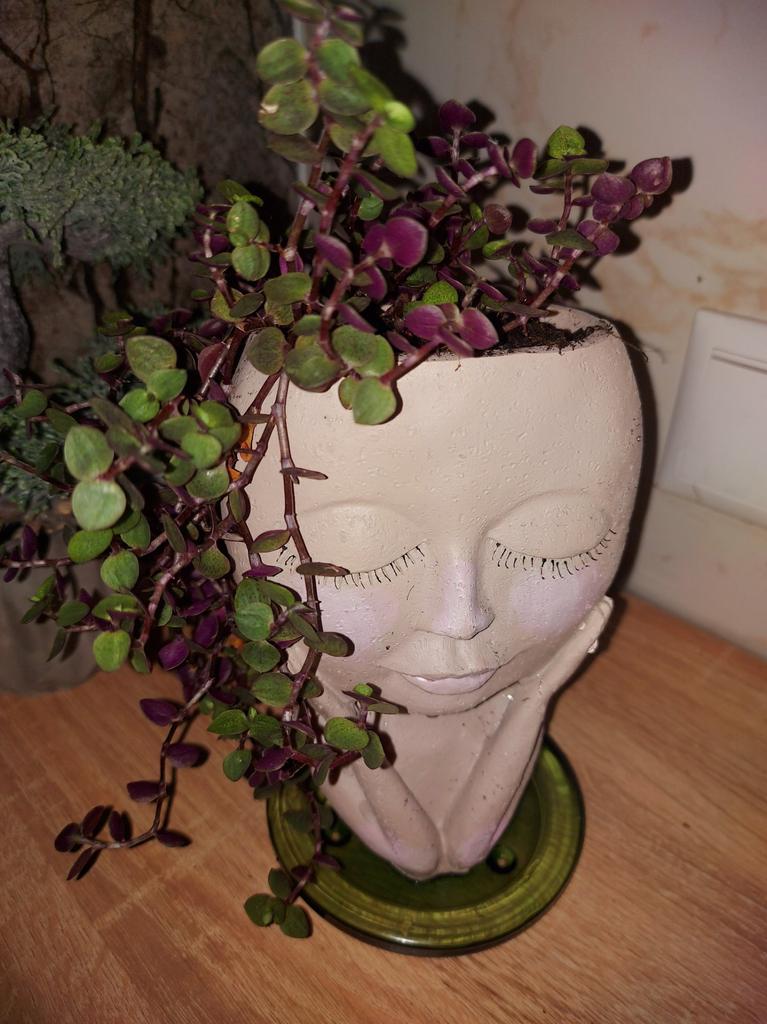 Vaso da fiori a testa carino, per viso, per piante grasse, per giardino, per viso, creativo