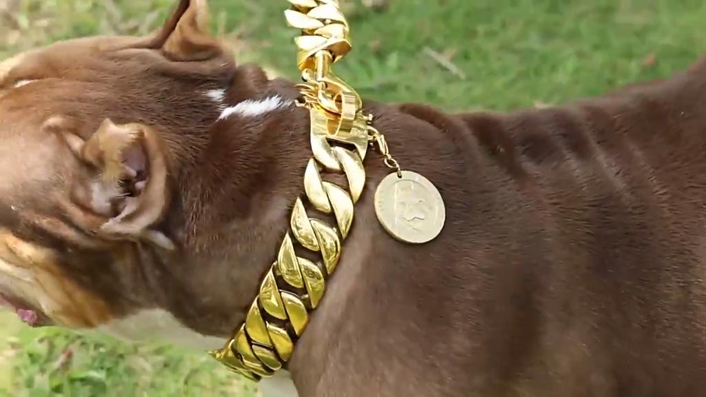 Strong Metal Dog Chain Collars Stainless Steel Pet Training Choke Collar For Large Dogs Pitbull Bulldog Silver Gold Show Collar
