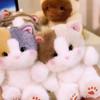 Cat Plush Toy With Scented Filling For Kids And Collectors