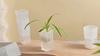 Automatic Self-Watering Flower Pot, Translucent Plastic Planter with Drainage Holes, For Succulents & Cuttings, Home Gardening Decor