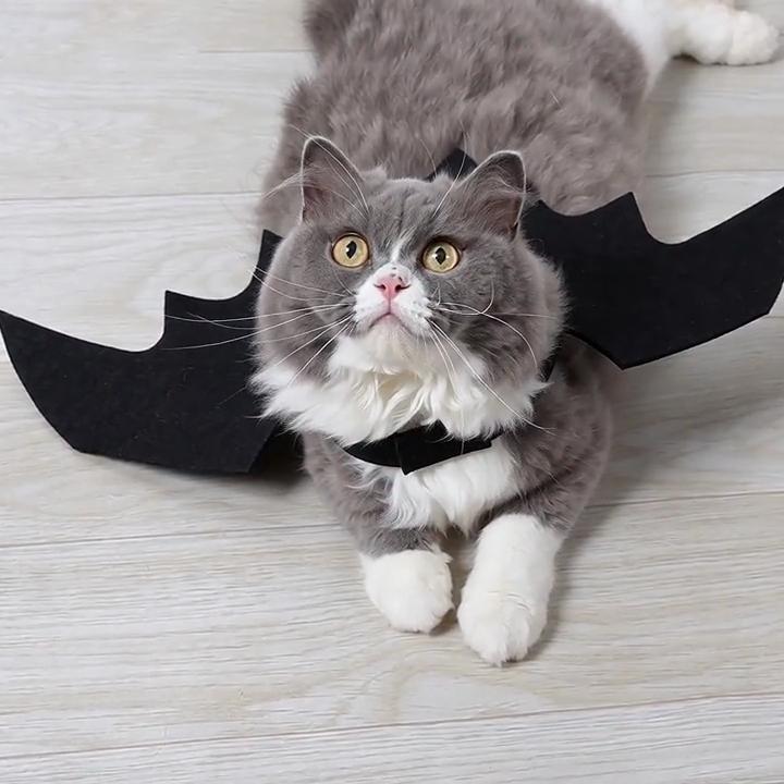 Halloween Cute Pet Clothes Black Bat Wings Harness Costume Cosplay Cat Dog Halloween Party Supplies