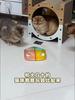 Interactive Cat Toys Smart Cat Chasing Toys Automatic Cat Teasing Stick Toy Funny Pet Cheese Box for Kitten Cat Accessories