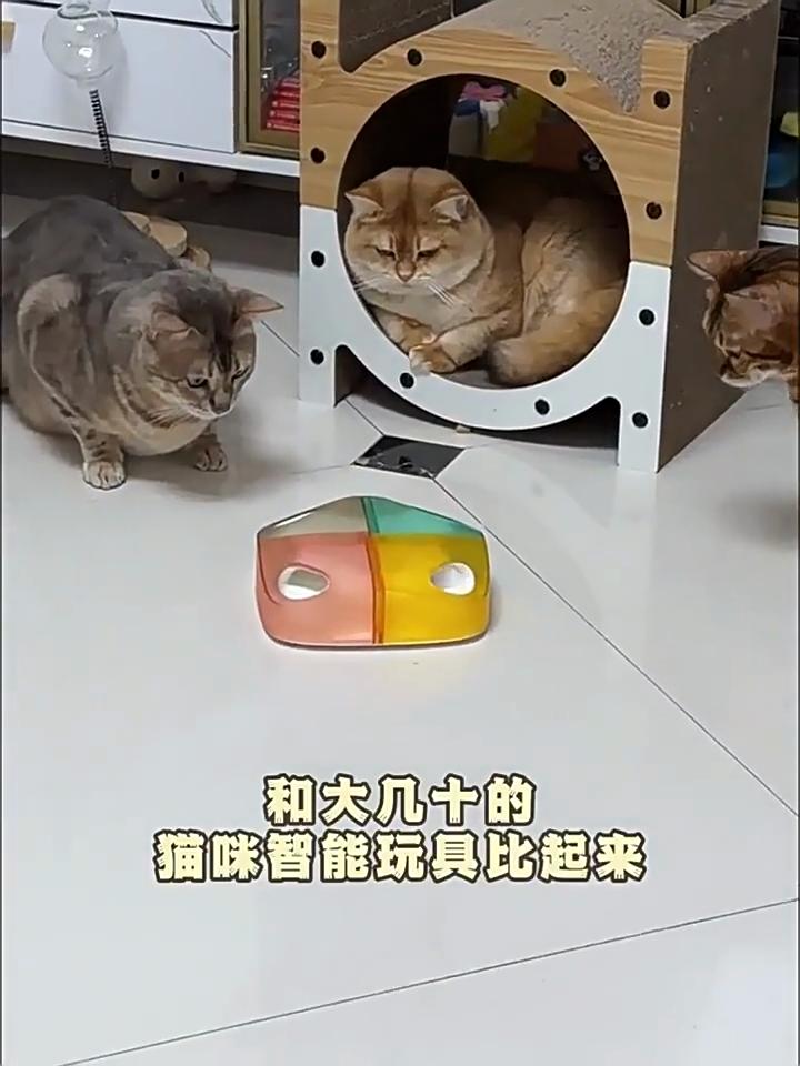 Interactive Cat Toys Smart Cat Chasing Toys Automatic Cat Teasing Stick Toy Funny Pet Cheese Box for Kitten Cat Accessories