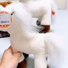 Plush Horse Toy With Short Pile For Kids And Home Decor