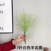 Faux Pteridium Aquilinum Var Latiusculum Plant Decor Set With Realistic Leaf Textures For Garden Photography And Home Decor