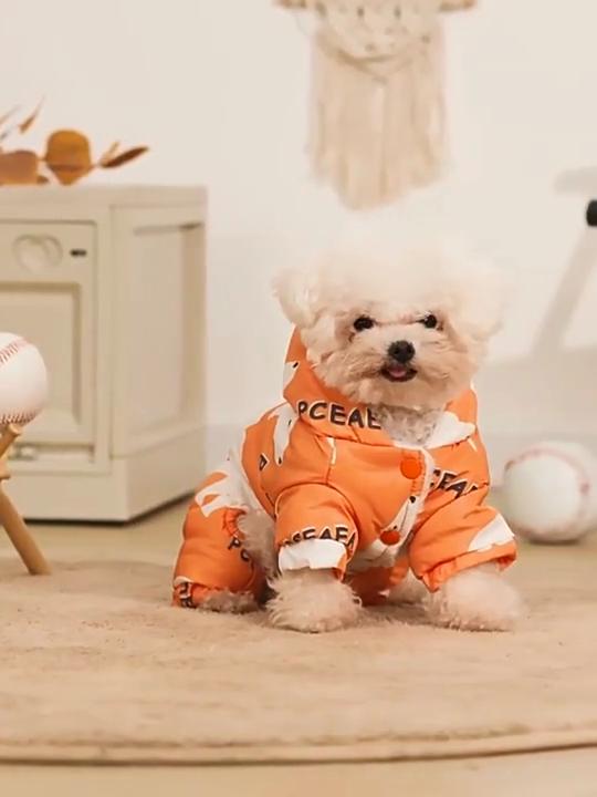 Thick Polar Bear Four-Legged Dog Winter Coat, Warm Cotton Outfit for Small Breeds, No Leash Included, S-2XL Cold Weather Wear