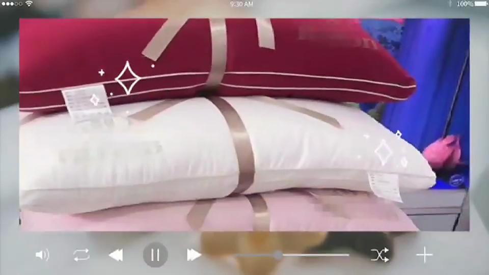 Hilton Pillow Pillow Core Hotel Special Simple Water Wash Drill Pillow