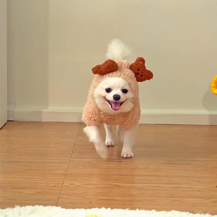 Herbst Winter Bärenohren 4-beiniger Haustier-Onesie für kleine Hunde - Flauschige warme Welpen Kapuzenbekleidung (Niedlicher Teddy-Stil)