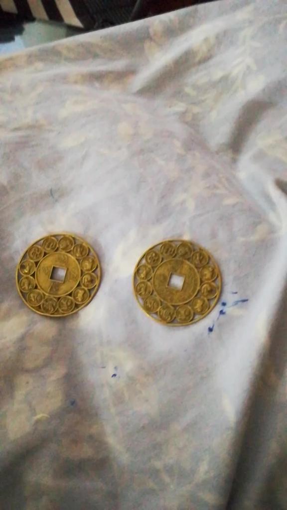 Auspicious Lucky Chinese Zodiac Feng Shui Coin Good Luck Prosperous Protect yu