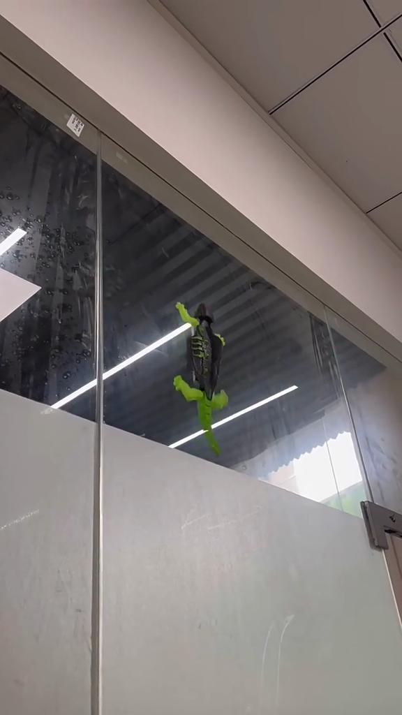 Novel Wall-Climbing RC Gecko | Unique Birthday Gift for Kids