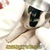 Dentalimplant Lab Blandekopp Skål Dentalverktøy Benbrønn Blandeverktøy Implantat Kirurgisk Instrument Verktøy tannlege Verktøy
