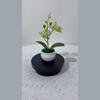 Butterfly Orchid Artificial Plant With Textured Plastic For Photography And Home Decor