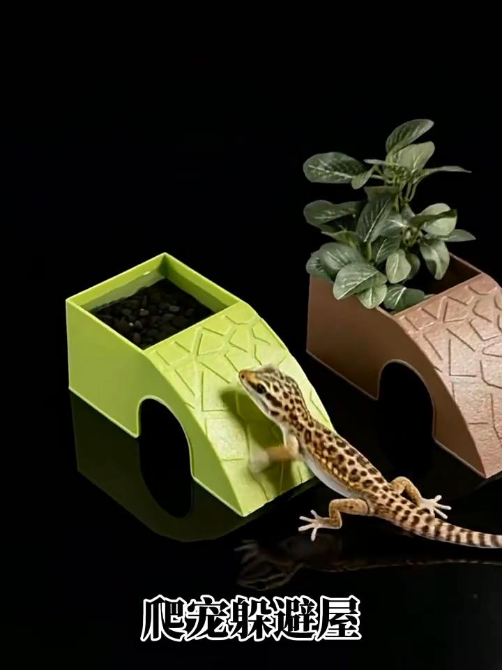 Reptile Hiding Shelter Rock Cave Decoration 2 In 1 Shelter Water Bowl Ornament For Pet Cages Fish Tanks Mini Amphibians