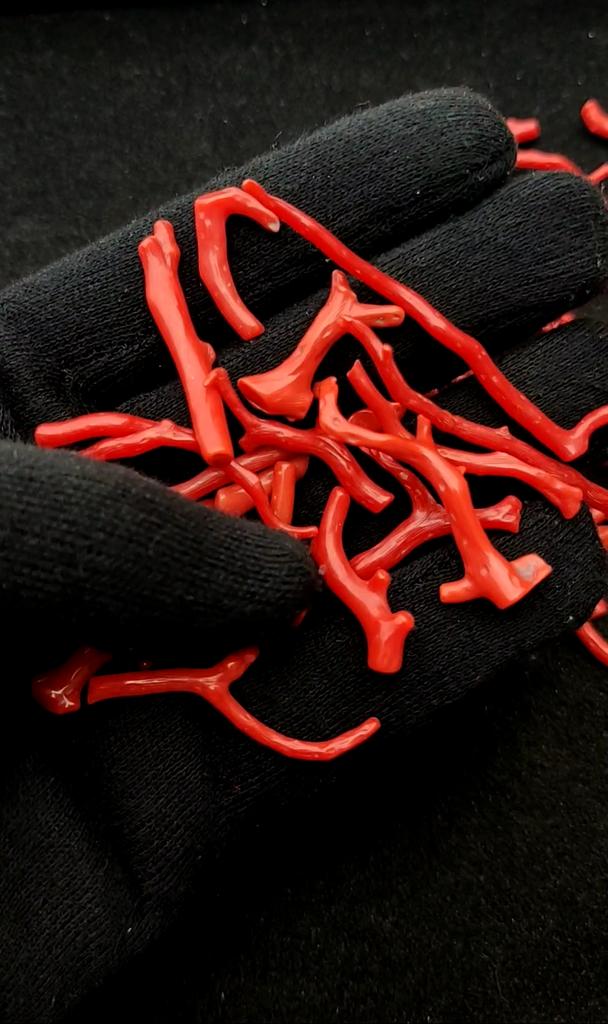 Natural red Coral Gemstone Reef, Italian Red Coral Polish Rough, Natural Gemstone Beads, Mediterranean Sea Coral lot.