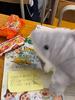 Little Shark Hand Puppet Gloves Cute Doll Plush Toy Can Open Mouth Doll Birthday Gift