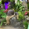 Practical Snail Model Compact Long Lasting Decor