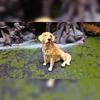 Harz Golden Retriever Hundefigur Gartendekor Geschenk für Tierliebhaber und Heimdeko