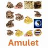 Chinese Amulet Toad Frog Feng Shui Yin Yang Home Office Decor  Vintage Protect Charm Talisman Powerful Wealth Success Health Lucky Jewelry Unisex