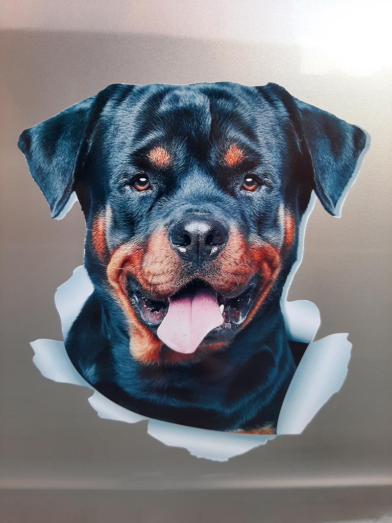rottweiler decals