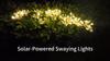 1PC Solar LED Floral Firework Garden Lights Outdoor Waterproof Lawn Lamp,Landscape Lighting For Yard,Terrace,Balcony,Path,Park