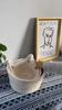 Storage Basket Cotton Basket Woven Basket Rattan Cat Ears Round Storage Basket Table Top Storage Hand-woven