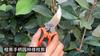 Professional Sharp Pruning Shears Garden Scissors Tree Flower Clippers Trimmers Secateurs Orchards Fruit Pick Tool