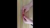 Anti-Rotation Fishing Net Adapter | 65mm Quick Install, Aircraft Alu, 8mm Thread