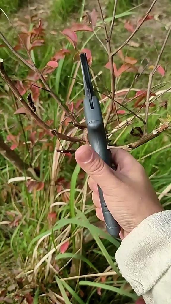 SK5 Plant Trimming Scissors Flower Stem Shears With Safety Lock And Labor-saving Spring Garden Trimming Scissor Anti-Slip Handle