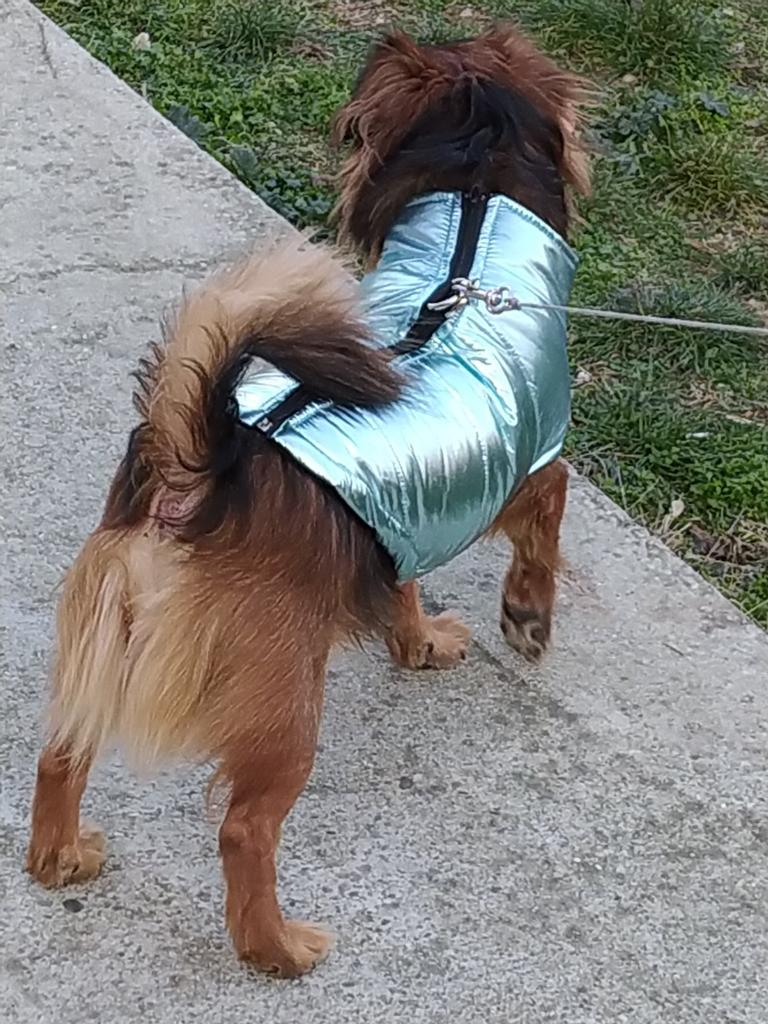 dog clothes for large dogs on Waterproof Large Dog Vest Jacket Autumn Winter Warm Pet Dog Clothing For Dogs Chihuahua Labrador Buy From 7 On Joom E Commerce Platform