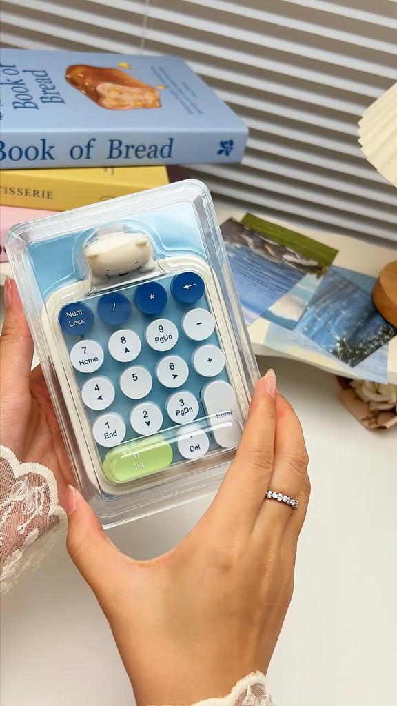 Mofii Wireless Numeric Keypad,Colorful Retro Mini Portable Numeric Keypad,2.4G Wireless External Keyboard for Computer